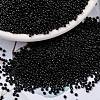 MIYUKI Round Rocailles Beads X-SEED-G009-RR0401-1