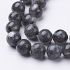 Natural Larvikite Beads Strands GSR10mmC128-2