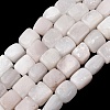 Natural Selenite Beads Strands G-B155-D17-2