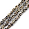 Natural Dalmatian Jasper Beads Strands X-G-B039-03A-1