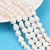 Natural Cultured Freshwater Pearl Beads Strands PEAR-P064-20L-03A-1