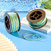 2 Rolls 2 Colors Segment Dyed Round Polyester Twisted Cords OCOR-TA0003-59A-7