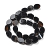 Natural Black Agate Beads Strands G-P559-B09-01-4