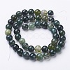 Natural Moss Agate Round Bead Strands G-N0120-30-8mm-2