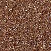 MIYUKI Delica Beads SEED-X0054-DB1241-3