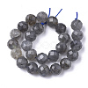Natural Labradorite Beads Strands X-G-S345-8mm-005-2