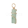20Pcs 10 Styles Natural Mixed Stone Copper Wire Wrapped Pendants PALLOY-JF03976-4