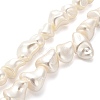 Electroplated Shell Pearl Beads Strands BSHE-C009-01B-1