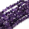 Natural Amethyst Chips Beads Strands G-P030-02-1
