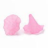 Transparent Acrylic Beads X-BSF796-C10-2