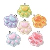 Cartoon Translucent Resin Pendants X-RESI-D071-01-1