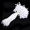 Polyester Cord with Seal Tag CDIS-T001-09K-1