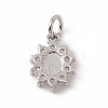Brass Micro Pave Cubic Zirconia Charms ZIRC-F132-36P-2