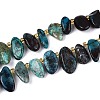 Natural Chrysocolla Beads Strands G-Z091-A46-4