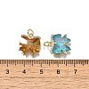 Brass Micro Pave Cubic Zirconia Charms KK-Q043-02G-3