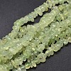 Natural Prehnite Chip Beads Strands X-G-E271-99-1