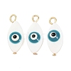 Natural Freshwater Shell Pendants PALLOY-JF04548-01-1