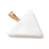 Natural Freshwater Shell Pendants PALLOY-JF05137-01-3