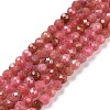 Natural Rhodonite Beads Strands G-C009-A18-1