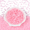 600Pcs Glass Seed Beads SEED-PA0001-17D-4