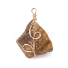 Raw Rough Gemstone Copper Wire Wrapped Pendants PALLOY-JF03028-4