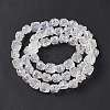 Transparent AB Colored Plated Electroplate Glass Beads X1-GLAA-P028-AB01-4
