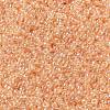 MIYUKI Round Rocailles Beads X-SEED-G009-RR0369-2