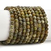 Natural Canada Jade Beads Strands G-B171-B01-4mm-2