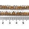 Natural Freshwater Shell Beads Strands X-BSHE-G038-05-5
