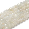 Natural Moonstone Beads Strands G-F736-01-AB-1