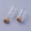 Mini Cute Small Glass Jar Glass Bottles X-AJEW-H004-5-1