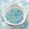 Transparent Colours Glass Seed Beads SEED-H003-01I-2