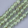 Natural Prehnite Beads Strands X-G-S333-6mm-032-1
