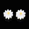 Natural Freshwater Shell Beads SHEL-N003-20A-01-2