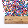 8/0 Baking Paint Glass Seed Beads X-SEED-S002-KM-1
