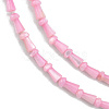 Natural Freshwater Shell Beads Strands SHEL-G013-02A-3