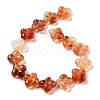 Natural Red Agate Beads Strands G-P520-A06-01-3