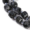 Natural Larvikite Beads Strands G-B125-O05-01-4