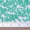 MIYUKI Round Rocailles Beads X-SEED-G007-RR0572-4