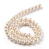 Natural Cultured Freshwater Pearl Beads Strands PEAR-L033-16-02-2