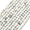 Natural Howlite Beads Strands G-A260-A25-01-2