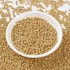 MIYUKI Round Rocailles Beads X-SEED-G008-RR0677-2