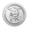 Plastic Silver Foil Embossed Picture Sticker DIY-WH0336-003-1