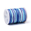 Segment Dyed Polyester Thread NWIR-I013-A-3