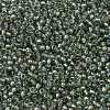 MIYUKI Round Rocailles Beads SEED-JP0009-RR3740-4