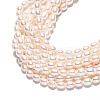 Natural Cultured Freshwater Pearl Beads Strands PEAR-N024-05-4AB-3