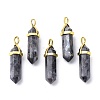 Natural Larvikite Pointed Pendants G-G025-01G-21-1