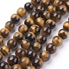 Natural Tiger Eye Beads Strands G-G099-10mm-5-1