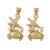Brass Pendants KK-I358-057G-2