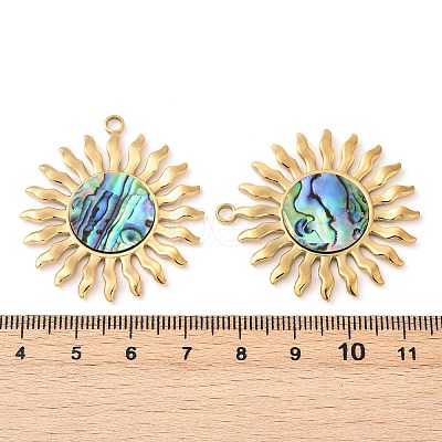304 Stainless Steel Natural Paua Shell Pendants X-STAS-L288-12G-01-1
